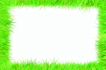 Bannière herbe